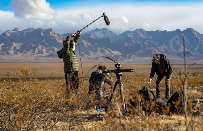 Cynthia's Safaris video page banner