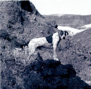 Cynthia’s dog Blue near Rainbow Mountain in the Amargosa Basin, where Cynthia first began to understand deep time and the Amargosa Chaos.